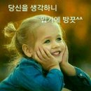 복이 이미지