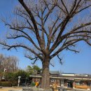 천주교삼성동성당 앞 | 전동성당 앞에서 시작한 전주여행｜‘모주체험여’에서 만든 나만의 모주 후기