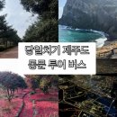 성읍리-20 | 당일치기 제주도 동문 버스투어 추천