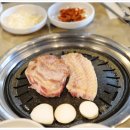 육탐