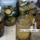 장미네농장 네이버블로그