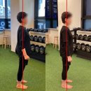 당신의PT 이미지