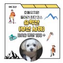 호돌유치원 | BAC 명산 100+ 승학산 최단코스(호돌유치원 들머리 코스)