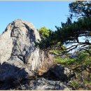 독바위로 이미지