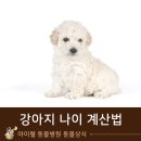 계산동물병원 이미지