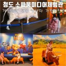 청도소싸움테마파크 | 청도 소싸움테마파크 미디어체험관 겨울 방학 아이와 가볼만한곳