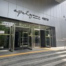 공덕 아펠가모 웨딩홀 투어 솔직 후기