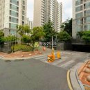 벚꽃로6길 이미지