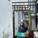 대성빠우 이미지