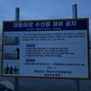 안악민박 이미지