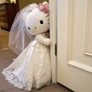 수필 | 💍✨ 광주본식스냅 수필로그 계약후기 (짝궁할인 코드 공유해드려요 🫶🏻)