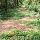 서수주유소 이미지