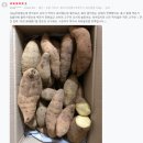 효정농장 이미지