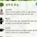 상추 먹으면 효능 칼로리 안효능 세척 이미지