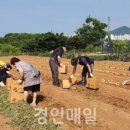 남촌도림동-24 이미지