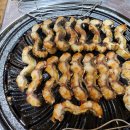 생생장어 이미지