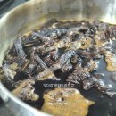 도치커피 이미지