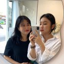 디아쎄르 이미지
