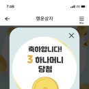 행운머니