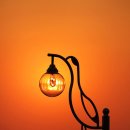 조류탐사과학관 이미지