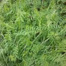 금사초등학교 이미지