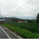 금곡2리 이미지