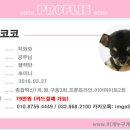 이개누구개 이미지