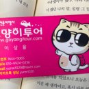 코사무이 신혼여행 추천 &#34;고양이투어&#34; 후기