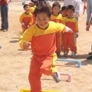 연풍초등학교 병설유치원 이미지