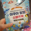 한교육타이거합기도장앞 | 여수 아쿠아플라넷 스탬프 위치 총정리✨ (도장깨기 성공 후기!)