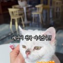 나는카페양주점