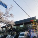 아중장어 이미지