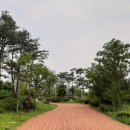 물빛공원 족구장 이미지