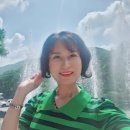 니파팜코리아