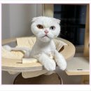 아이조아요양보호소 전남광주점 이미지