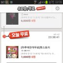 펫 스토리 이미지