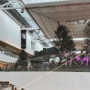 와이지포레스트 | 블랙핑크 더 현대 서울 핑크베놈 콘셉트 팝업 방문 후기 : 더 현대 서울 가볼만한 곳 5층 사운즈 포레스트