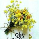 블러쉬 이미지