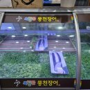 호산 양만장