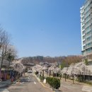 신동아 세탁소 이미지