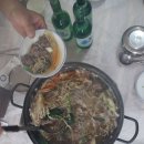 2025년 4월 26일 토요일 함평나비축제 이미지