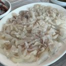 바닷가쉼터민박 | 포항 노선장민박 - 석식,조식까지 주는 밥잘주는 가성비 숙소