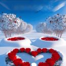 L. V. 베토벤_첼로 소나타 제2번 G 단조 中 1악장 이미지