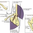 클럽엑스 이미지