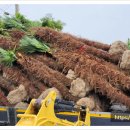 문관농장 이미지