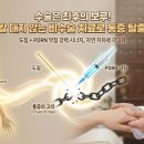 대지한의원 이미지