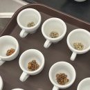 바리스타 자격증 취득하기 이미지