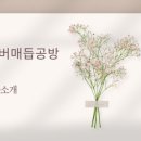 호남신학대학교 기독교상담대학원 이미지