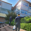 광주교육대학교목포부설초등학교 | 목포방역 광주교육대 목포부설초등학교 해충방역 작업 후기!