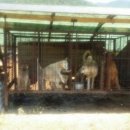 근수농장 이미지